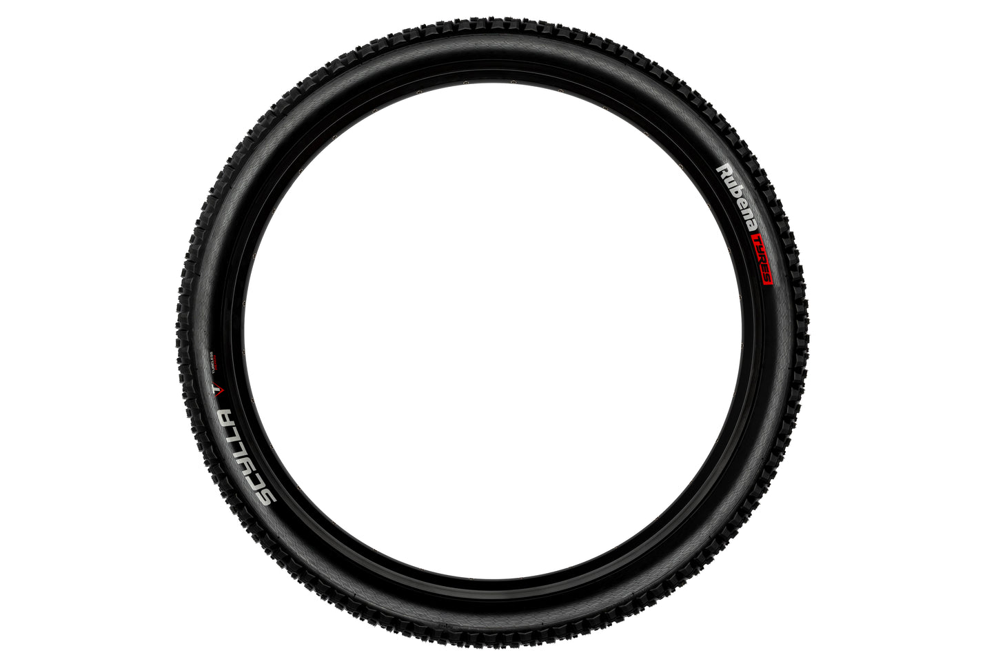 Rubena Scylla 2.25